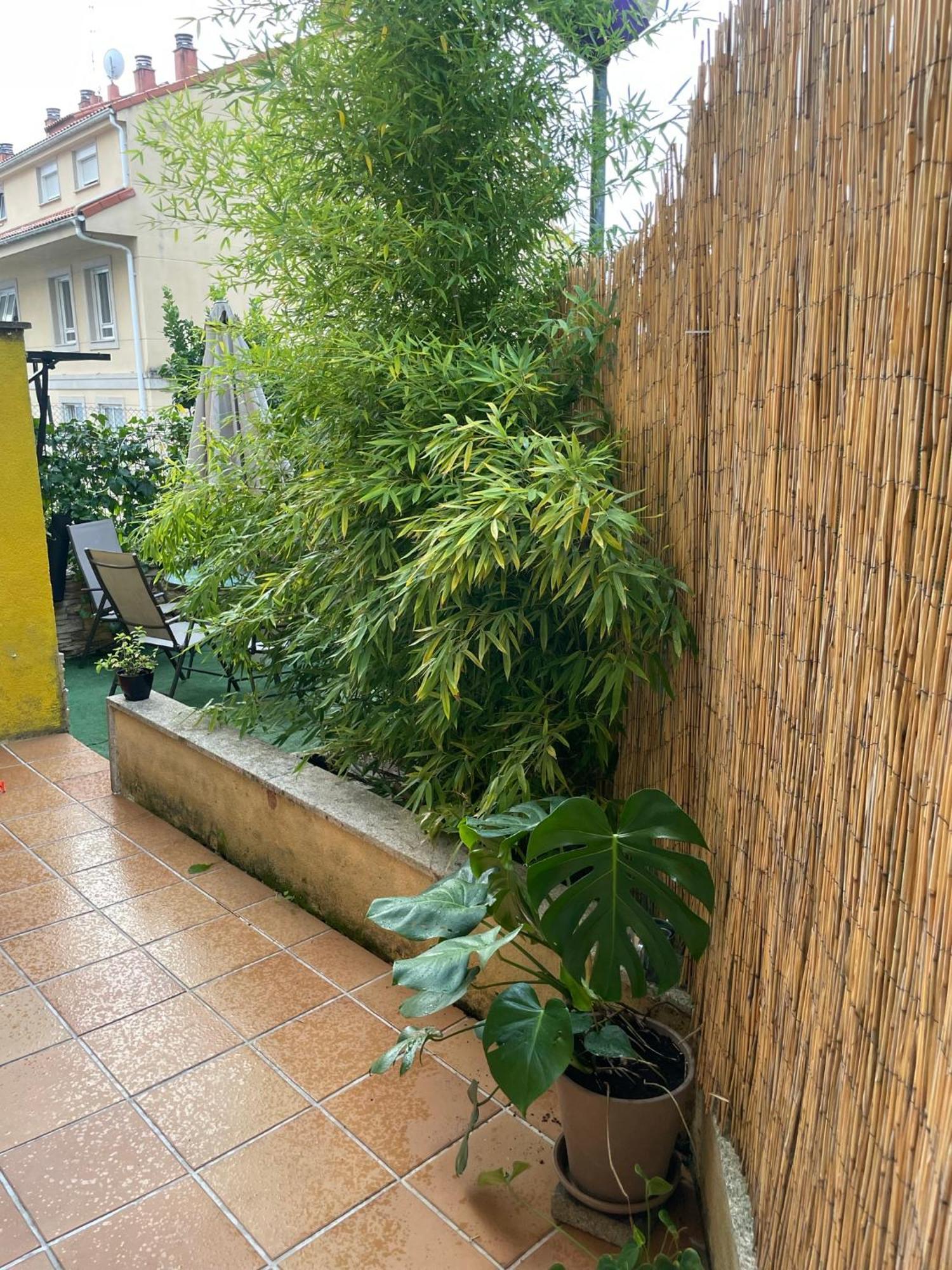 Ecobambu Con Terraza Y Parking En Pontevedra Lejlighed San Salvador de Poio Eksteriør billede